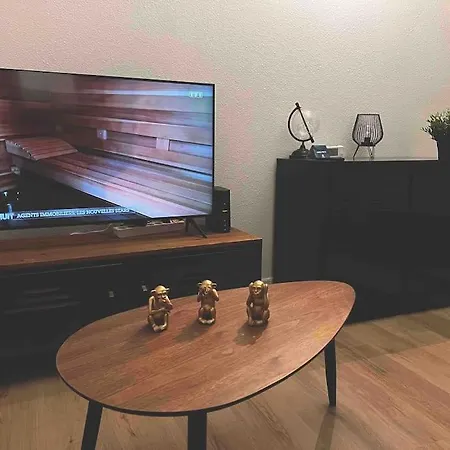 Au P'tit Ecureuil - Hypercentre Apartmán *